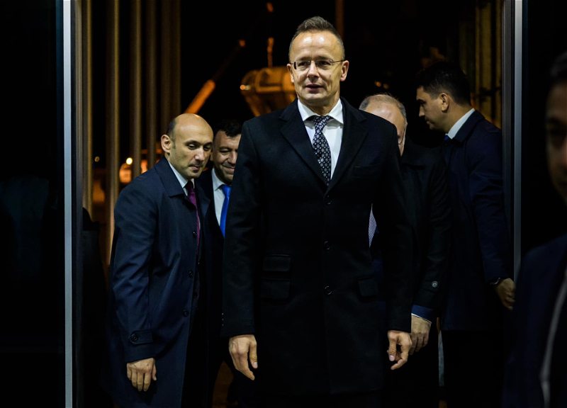 Глава МИД Венгрии в Баку: Вот почему мы работаем с министром экономики Азербайджана - ФОТО