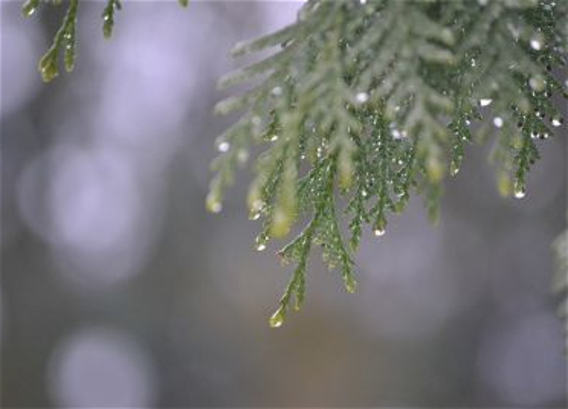Прогноз погоды на декабрь: Температура воздуха будет близка к климатической норме