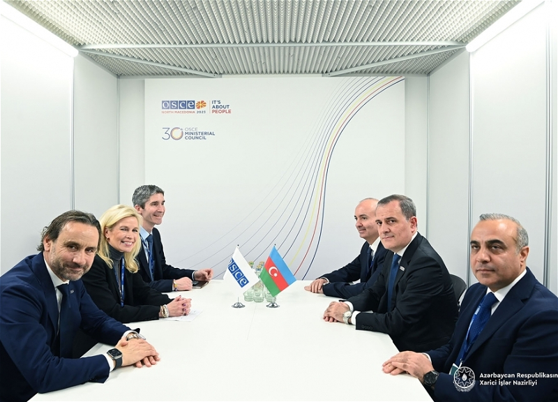 Президенту ПА ОБСЕ донесена позиция Азербайджана в связи с подписанием мирного соглашения