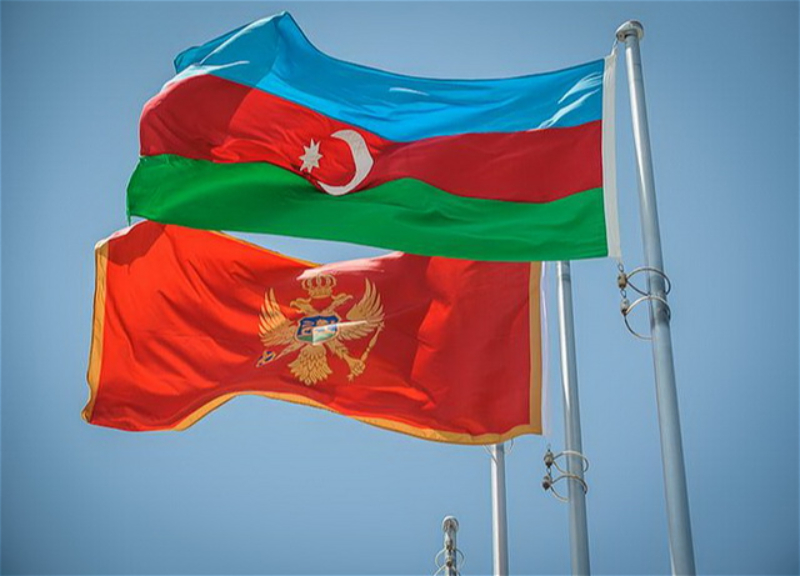 Черногория заинтересована в развитии отношений с Азербайджаном – глава МИД