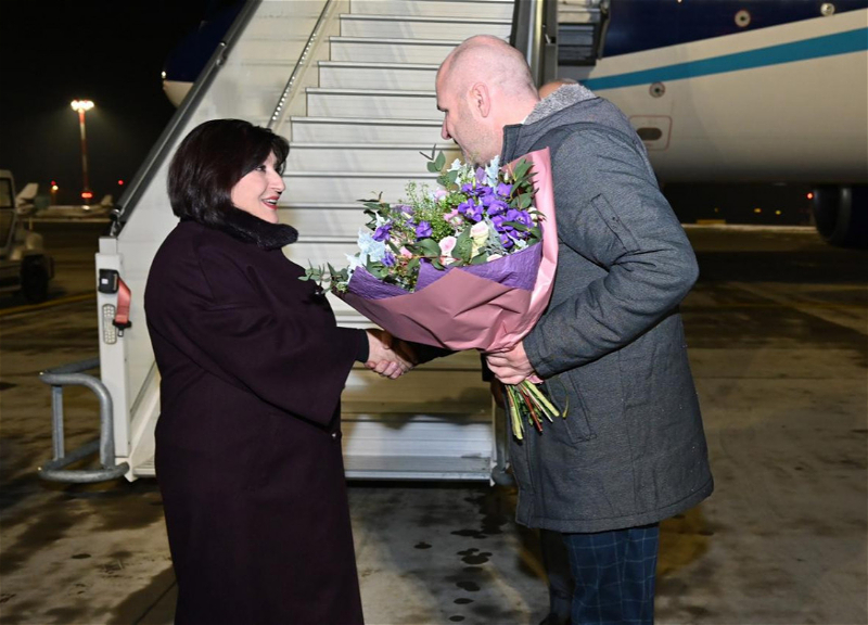 Спикер Милли Меджлиса находится с официальным визитом в Чехии