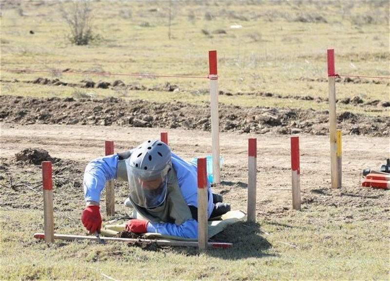 Обнародовано число мин, обнаруженных на освобожденных территориях на прошлой неделе - ФОТО
