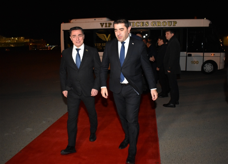 Председатель парламента Грузии прибыл в Азербайджан - ФОТО