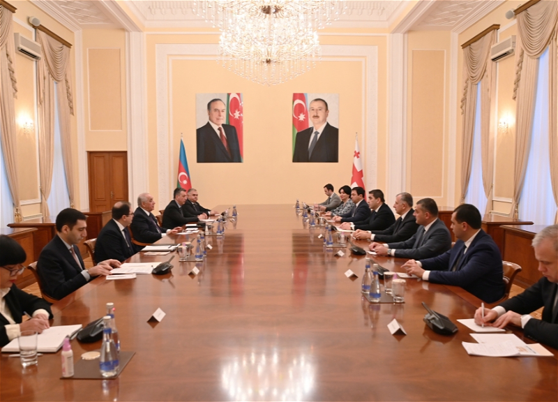 Али Асадов встретился с председателем парламента Грузии - ФОТО