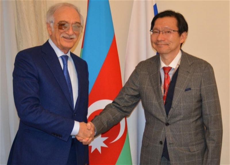 Обсуждены вопросы двустороннего сотрудничества между Азербайджаном и Японией - ФОТО