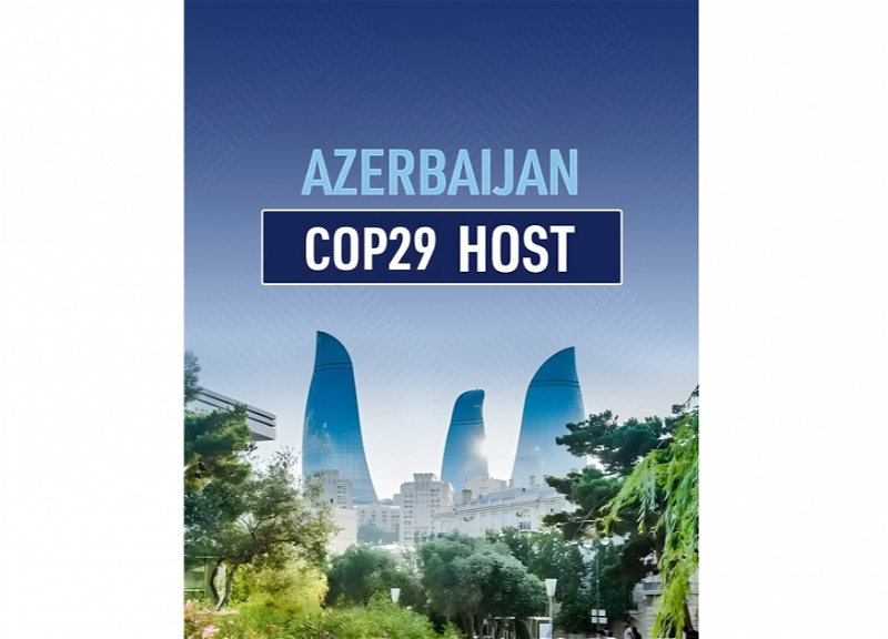 “Azərbaycan COP29-a ev sahibliyi etməklə dünyanın diqqət mərkəzində olacaq” - Elman Cəfərli