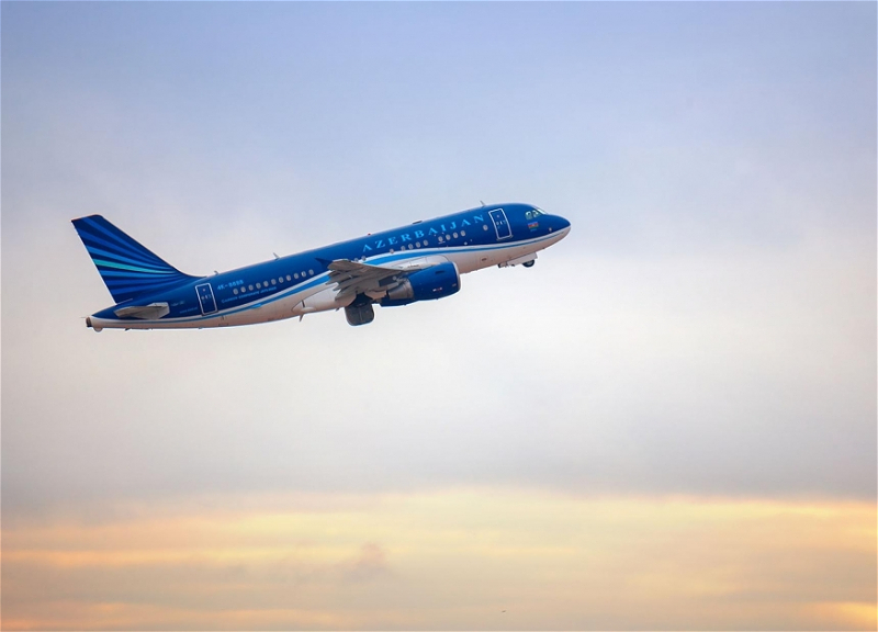 Пассажиры отложенных рейсов AZAL доставлены в Нахчыван