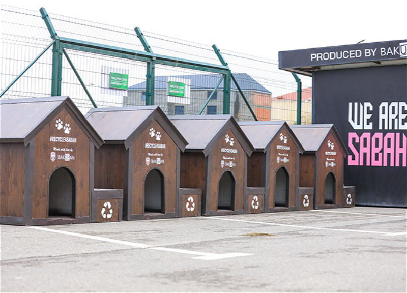 Врач ФК «Сабах» создал небольшой приют для бездомных собак на территории стадиона – ВИДЕО
