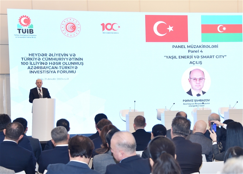 Министр: Сотрудничество с Турцией по производству и экспорту «зеленой» энергии уже началось