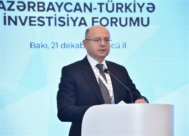 Министр: Энергетический коридор Азербайджан-Турция-Европа внесет вклад в «зеленое» энергетическое сотрудничество тюркских государств