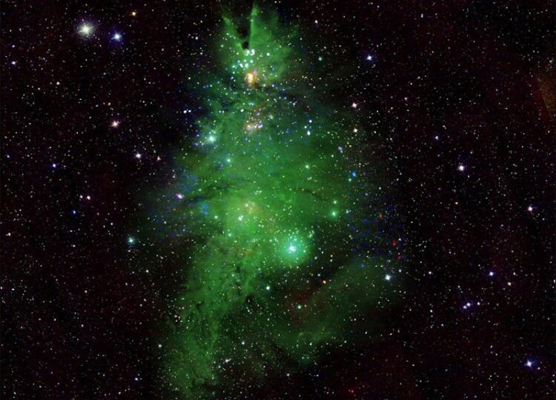 Скопление звезд выглядит как новогодняя елка. NASA опубликовало фото