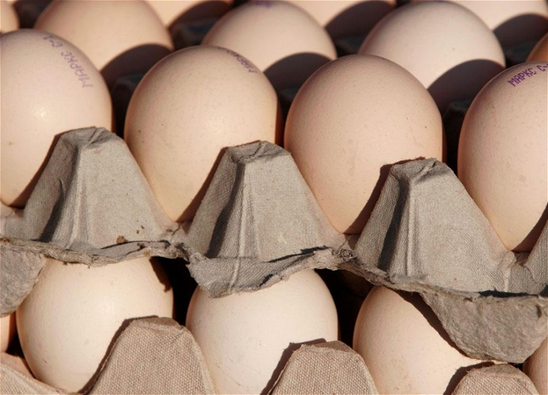 Азербайджан экспортировал в Россию еще 306 тысяч пищевых яиц