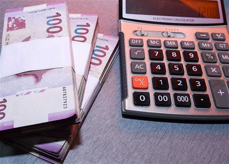 В Азербайджане выросло число активных налогоплательщиков