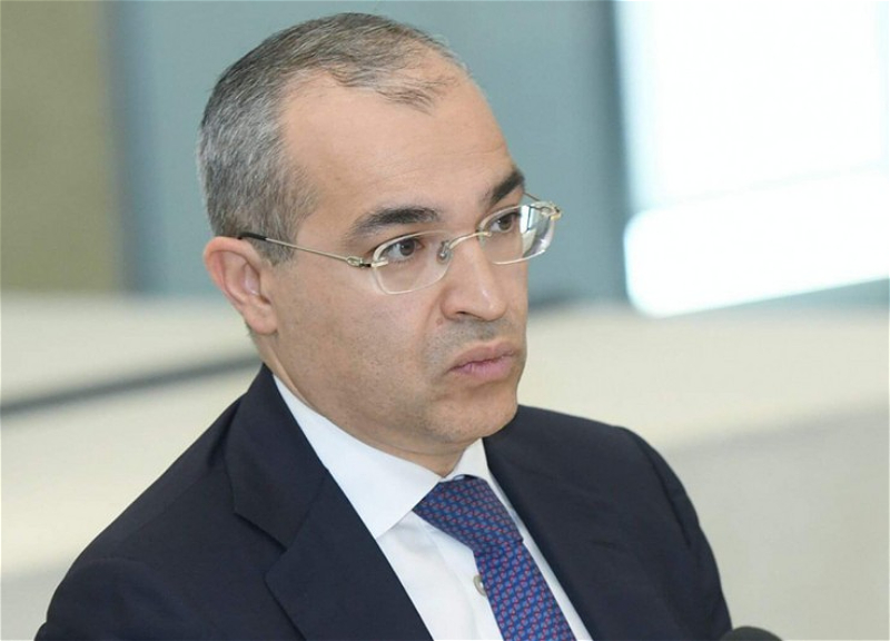 Министр: Азербайджан может достичь цели по увеличению доли «чистой» энергии раньше ожидаемых сроков