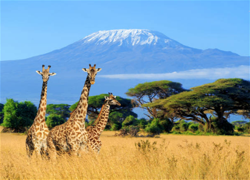 Кения отменила визы для туристов