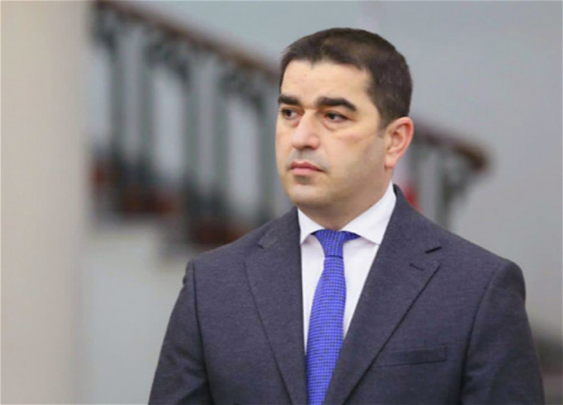 Спикер парламента Грузии требует извинений от президентов Украины и Молдовы