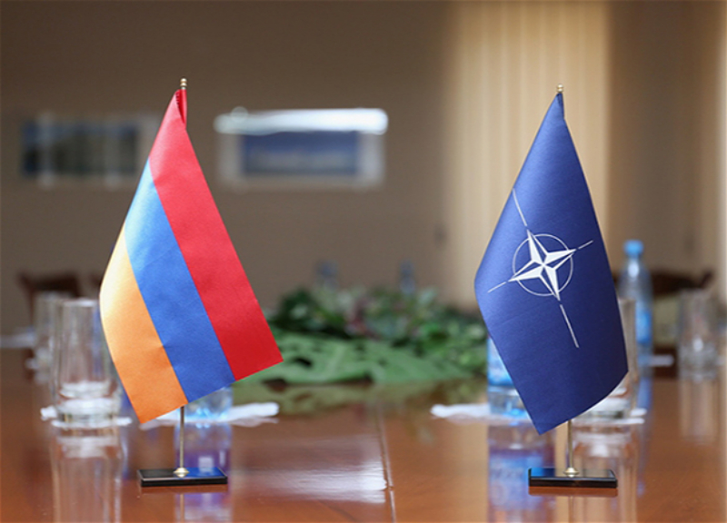 Армения обсуждает с НАТО вопросы региональной безопасности