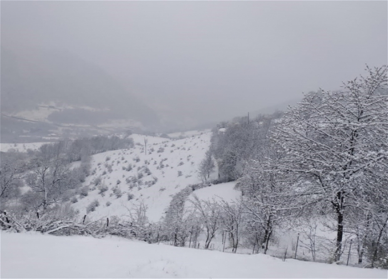 В регионах Азербайджана выпадет снег