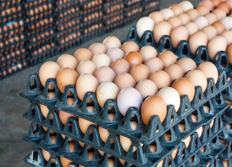 Азербайджан поставил в РФ очередную партию пищевых яиц