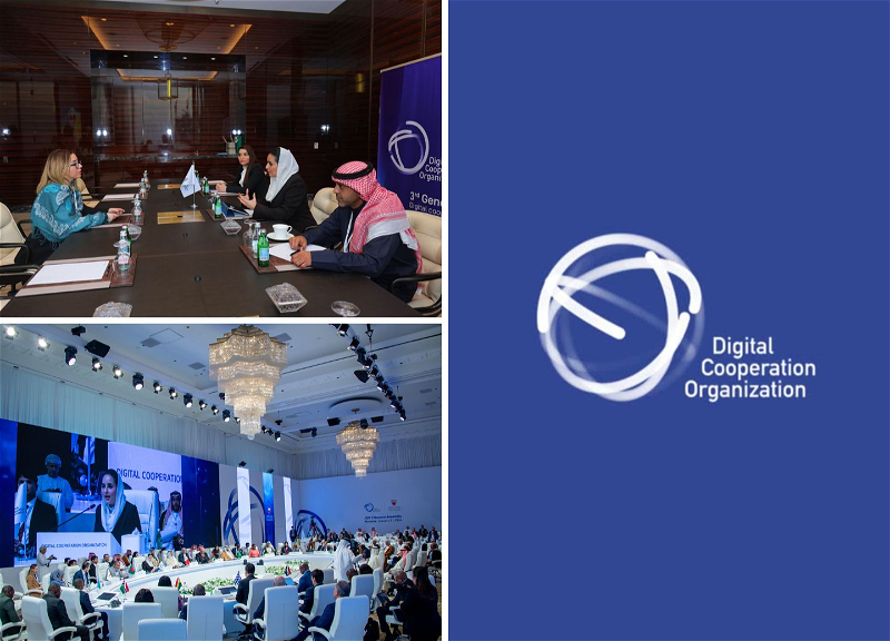 Организация цифрового сотрудничества: Цели, планы и интерес к Азербайджану - ФОТО