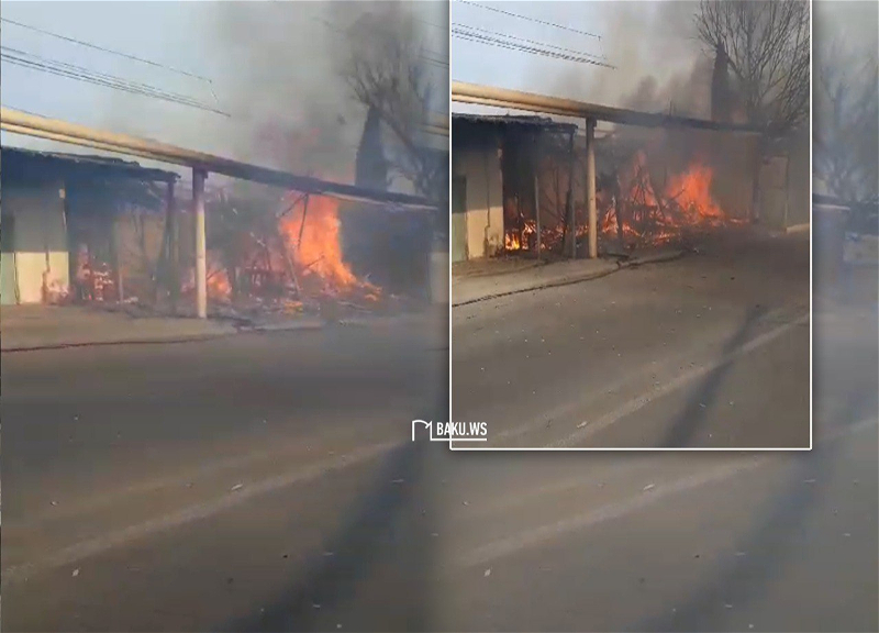 В Нардаране вспыхнул пожар: Возникла опасная ситуация - ВИДЕО