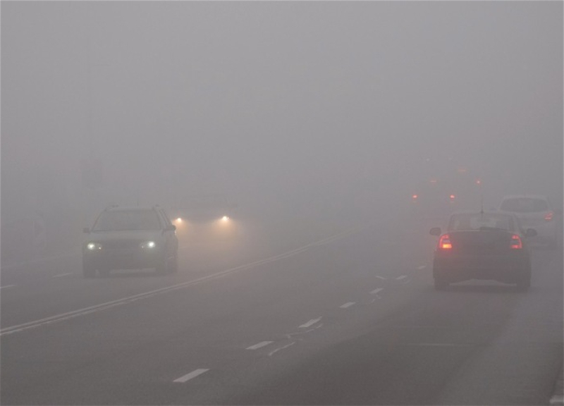 Дорожная полиция предупредила водителей в связи с туманом