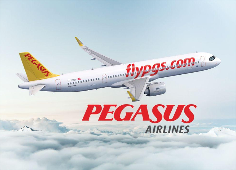 Pegasus Airlines существенно изменила правила перевозки ручной клади