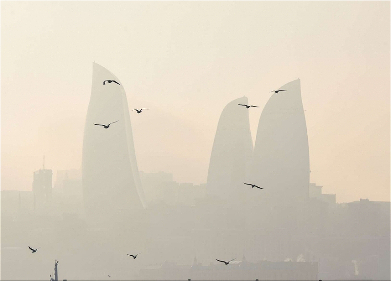Снизилось количество пыли в воздухе в Баку
