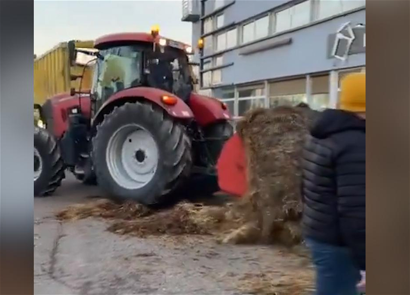 Во Франции фермеры в знак протеста щедро сдобрили навозом улицы - ВИДЕО