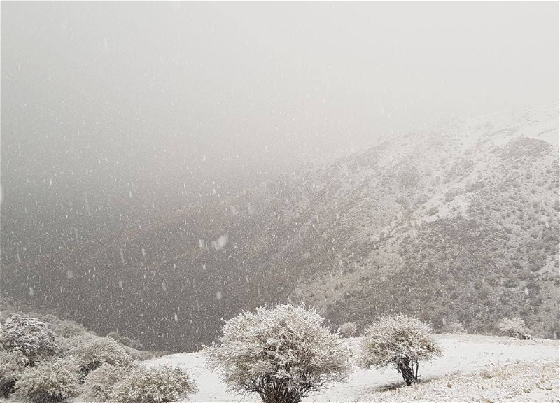 В Азербайджане выпадет снег, дороги обледенеют