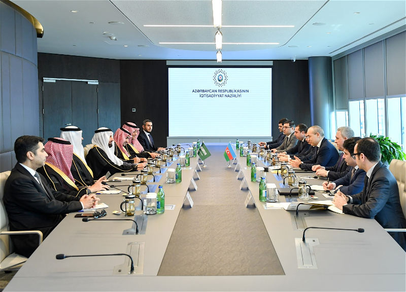 Обсуждено развитие партнерства с Саудовской Аравией - ФОТО