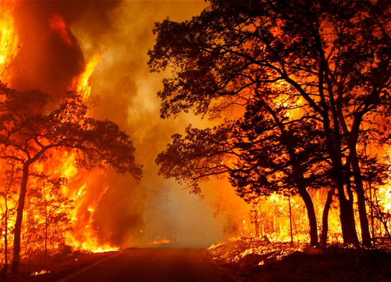 Из-за масштабного лесного пожара в Техасе погибли не менее двух человек