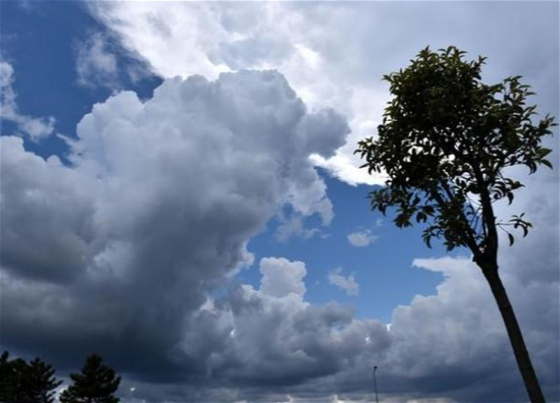 6 martda gözlənilən hava proqnozu açıqlanıb