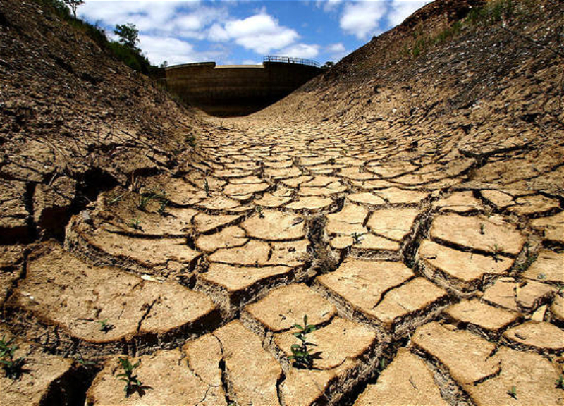 В прошлом году в Азербайджане из-за засухи стали непригодными примерно 160 тысяч га земель