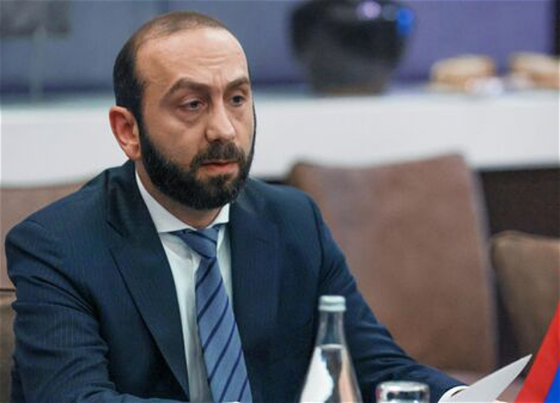 В армянской партии власти недовольны главой МИД Армении