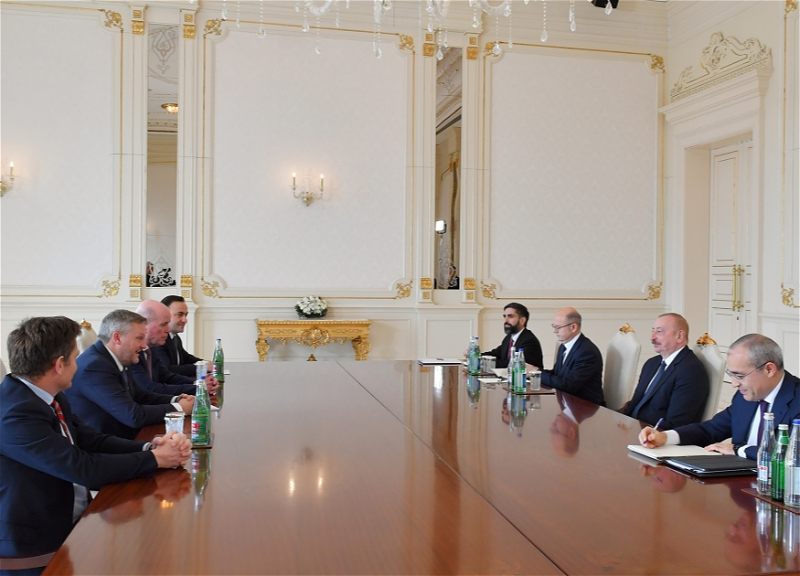 Ильхам Алиев принял нового генерального исполнительного директора BP - ФОТО