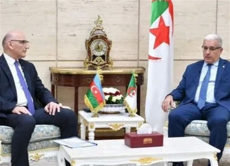 Сотрудничество между парламентами Азербайджана и Алжира успешно продолжается