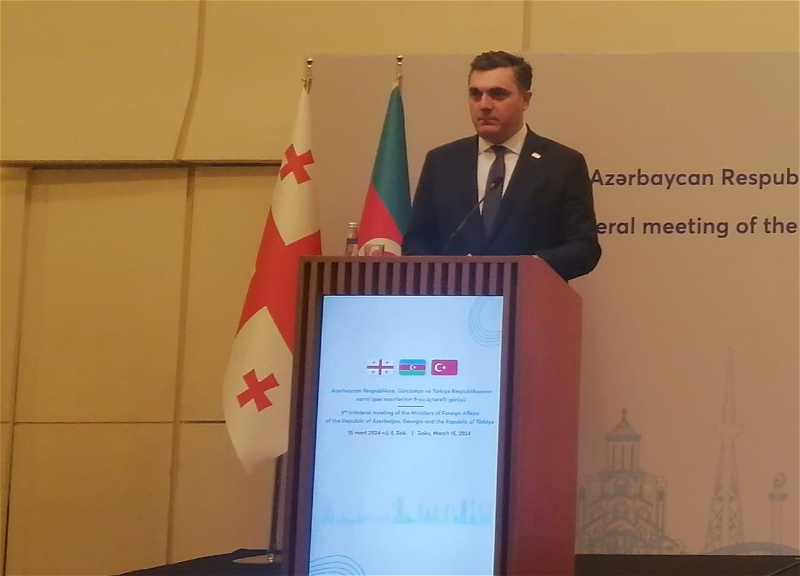 İlya Darçiaşvili: Bu layihələr regionumuzun əhəmiyyətini artırır