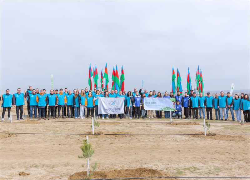 Сотрудники AZAL посадили более 600 деревьев в рамках «Года солидарности во имя зеленого мира» - ФОТО - ВИДЕО
