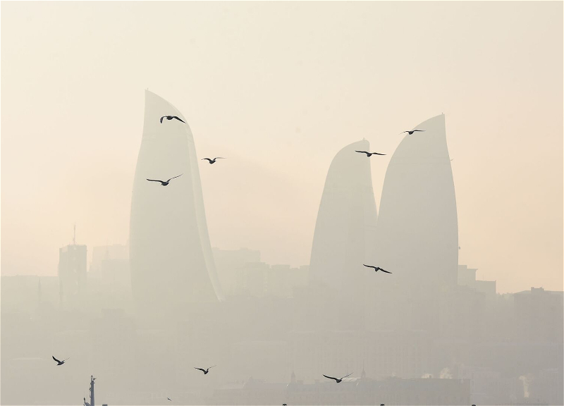 В Баку ожидается туман