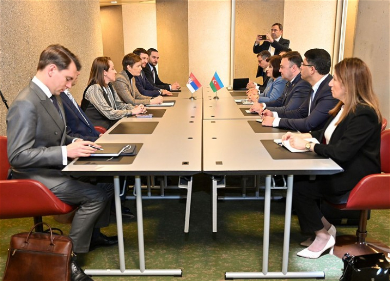 Спикеры парламентов Азербайджана и Сербии обсудили двустороннее сотрудничество
