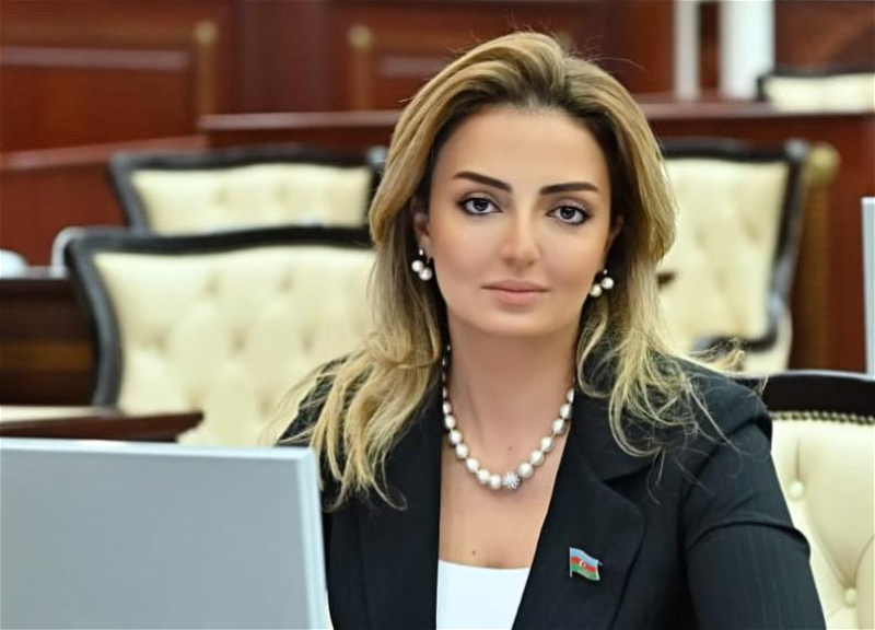 Кенуль Нуруллаева: «Военный пакт США-Армения- Европейский Союз направлен против стабильности и мира в регионе»