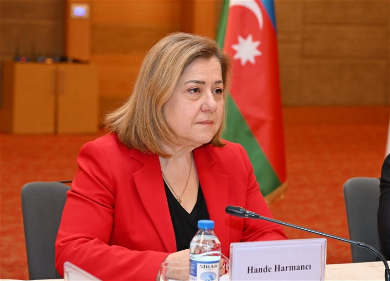 Харманджи: Важнейшим вопросом для Азербайджана является обеспечение доступности психологических услуг
