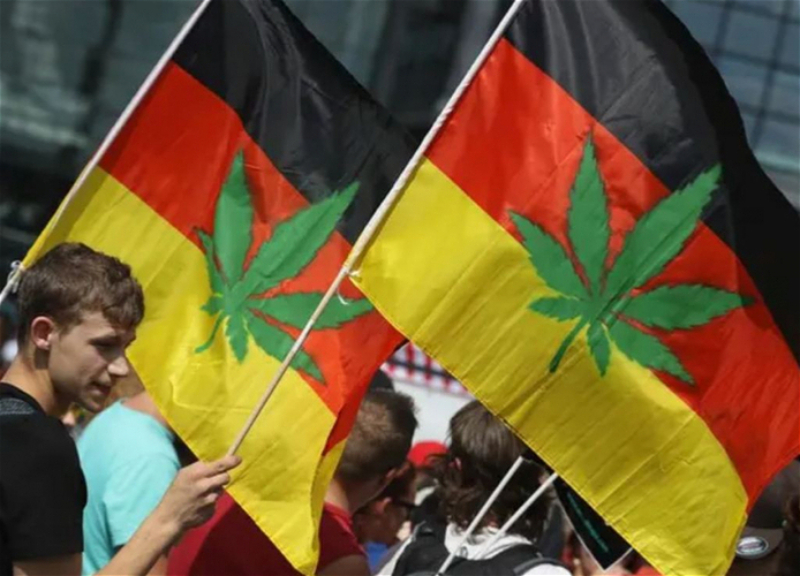 В Германии частично легализовали каннабис