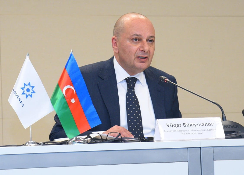 ANAMA sədri mina qurbanlarının sayını açıqlayıb