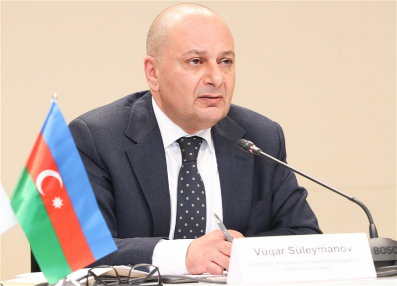Глава ANAMA: Общее число жертв мин в Азербайджане составляет 3429 человек