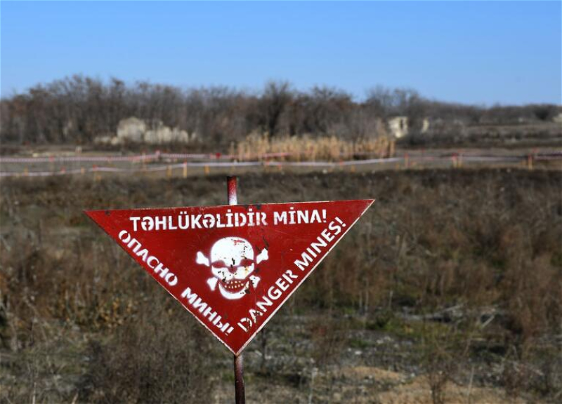 Новые данные о числе жертв мин, установленных Арменией - ФОТО