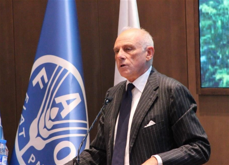 Посол Италии: «У итальянской и азербайджанской культур очень много общего»