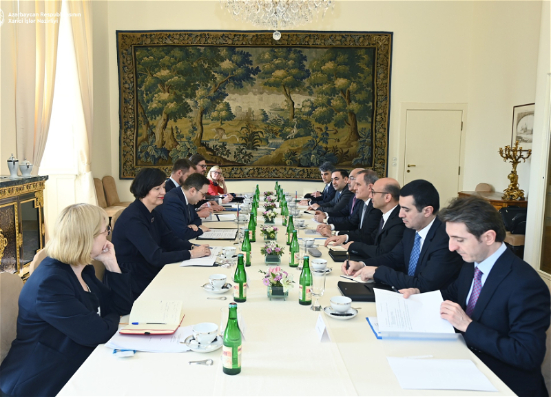 Глава МИД Азербайджана и премьер Чехии обсудили перспективы сотрудничества