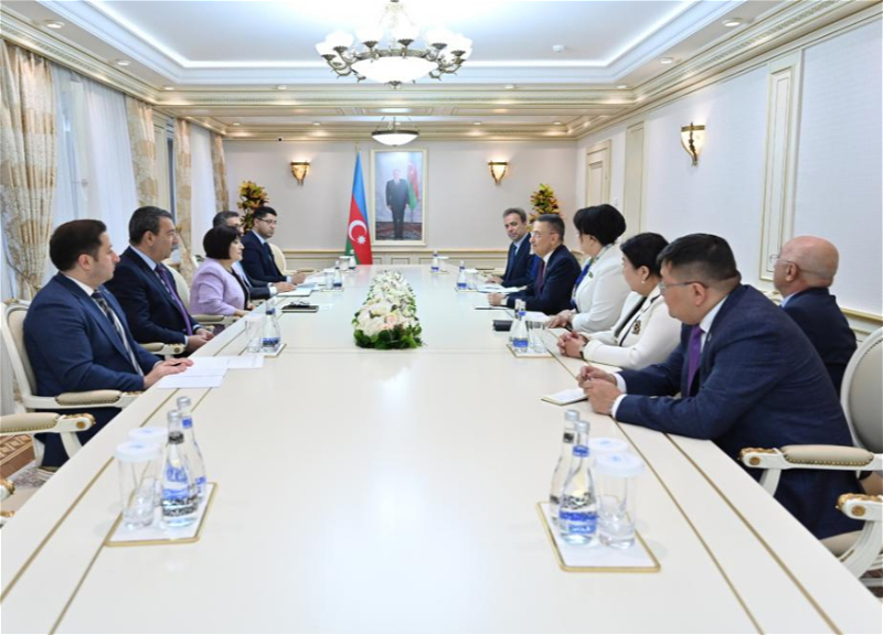 Председатель Милли Меджлиса встретилась с участниками заседания председателей комитетов по внешним связям парламентов тюркских государств